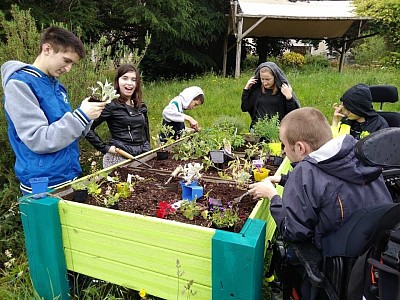 IEM éducation pédagogie enfants handicap maladie