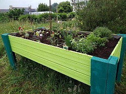 bac jardin surélevé jardin thérapeutique bois plante végétal aromatique