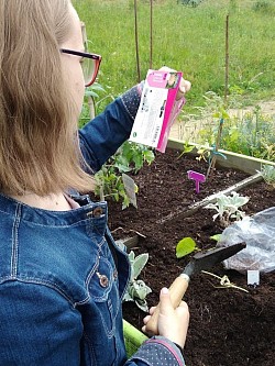 enfant semis handicap terreau fleurs potager