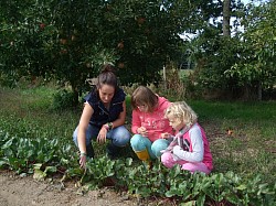 enfants potager IEM moteur handicap jardin végétal vert