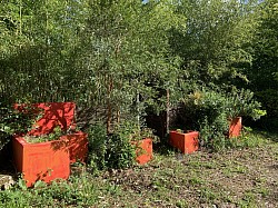 Bac couleur repère temporalité jardin thérapeutique